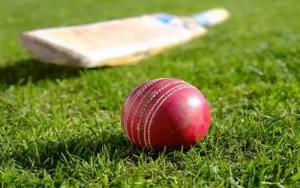 mohan astrology cricket prediction
