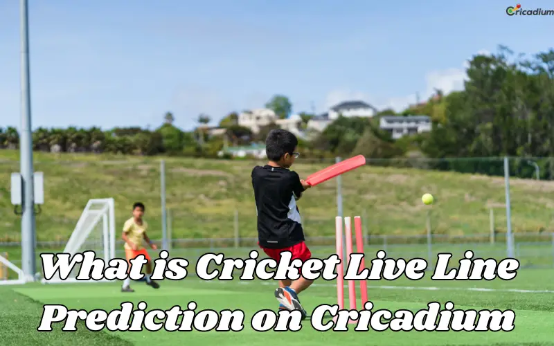 cricket live line prediction