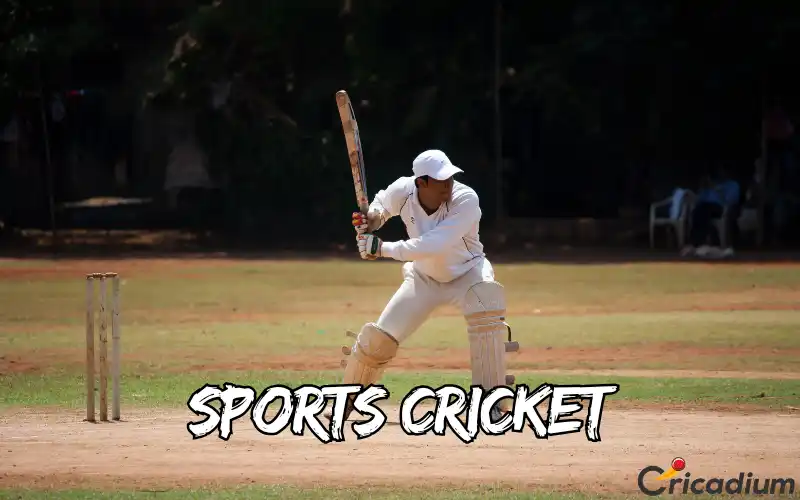 sports cricket