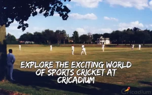 sports cricket