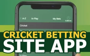 cricket world cup​ at cricadium featured image